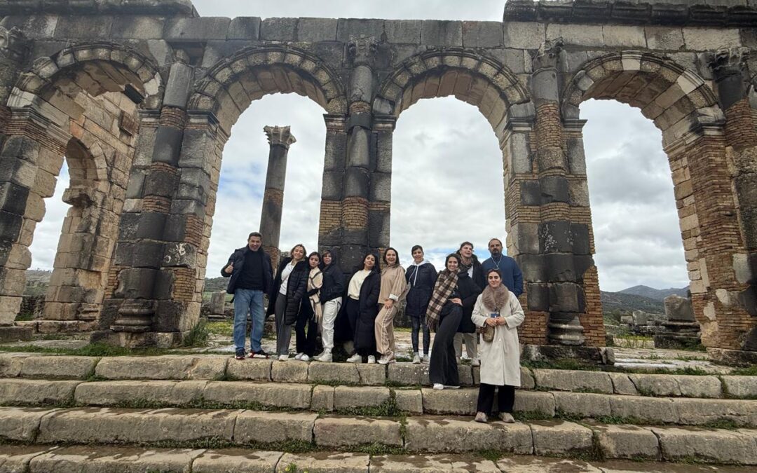 Meknes and Volubilis day trip